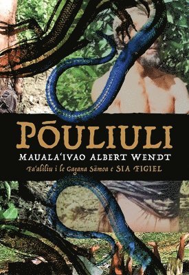 bokomslag P?uliuli