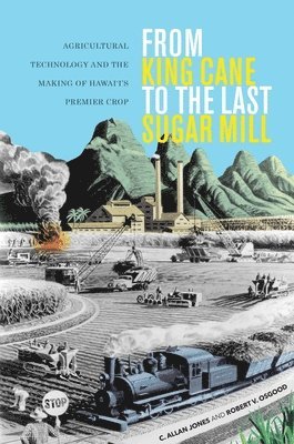 bokomslag From King Cane to the Last Sugar Mill