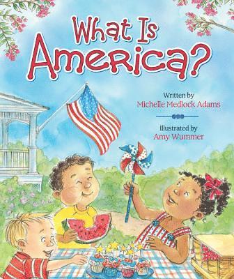 Michelle Medlock Adams - What Is America?, Kartonnage