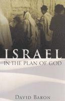 bokomslag Israel in the Plan of God