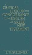 bokomslag A Critical Lexicon and Concordance to the English and Greek New Testament