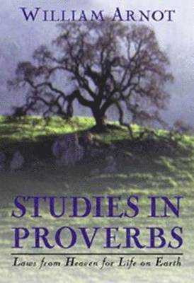 bokomslag Studies in Proverbs