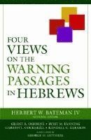 bokomslag Four Views on the Warning Passages in Hebrews