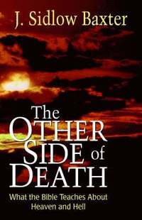 bokomslag The Other Side of Death