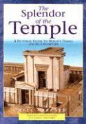 bokomslag The Splendor of the Temple