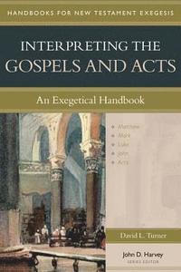 bokomslag Interpreting the Gospels and Acts - An Exegetical Handbook