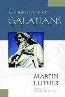bokomslag Commentary on Galatians