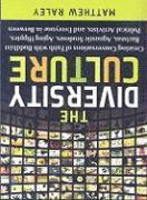 Matthew Raley - Diversity Culture – Creating Conversations of Faith with Buddhist Baristas, Agnostic Students, Aging Hipsters, Political Activists & Everyone in, Häftad