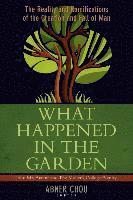 bokomslag What Happened in the Garden?  The Reality and Ramifications of the Creation and Fall of Man