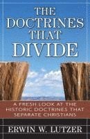 bokomslag The Doctrines That Divide  A Fresh Look at the Historical Doctrines That Separate Christians