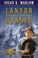 Canyon of Danger 1