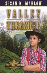 bokomslag Valley of Treasure (Goldtown Adventures 5)