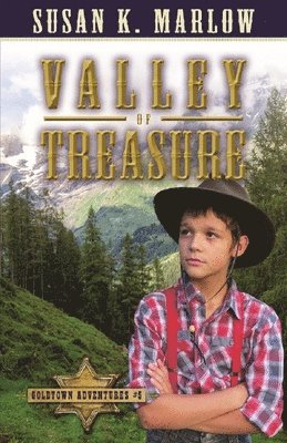 bokomslag Valley Of Treasure (Goldtown Adventures 5)