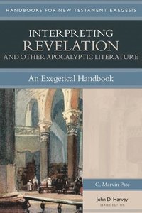 bokomslag Interpreting Revelation & Other Apocalyptic Lite  An Exegetical Handbook