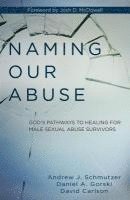 bokomslag Naming Our Abuse