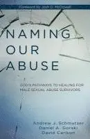 Andrew Schmutzer, Daniel Gorski, David Carlson - Naming Our Abuse, Häftad