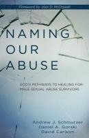 bokomslag Naming Our Abuse