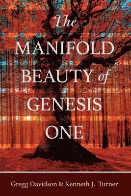 Gregg Davidson, Kenneth J Turner - Manifold Beauty of Genesis One, Häftad