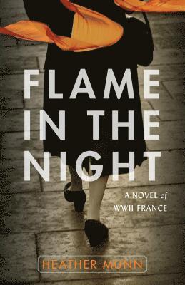 bokomslag Flame in the Night  A Novel of World War II France