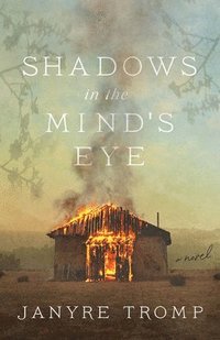 bokomslag Shadows in the Mind`s Eye - A Novel
