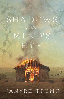 bokomslag Shadows in the Mind`s Eye - A Novel