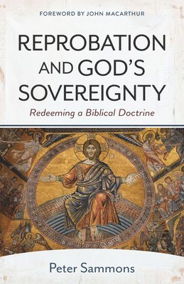 bokomslag Reprobation and God`s Sovereignty - Redeeming a Biblical Doctrine
