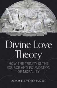 bokomslag Divine Love Theory