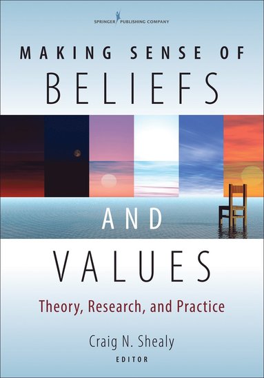 bokomslag Making Sense of Beliefs and Values