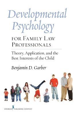 bokomslag Developmental Psychology for Family Law Professionals