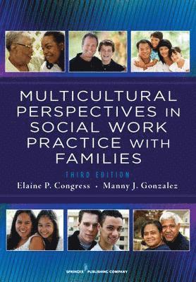 Elaine Congress, Manny J. González - Multicultural Perspectives in Social Work Practice with Families, Häftad