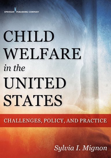 bokomslag Child Welfare in the United States