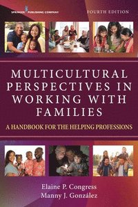 bokomslag Multicultural Perspectives in Working with Families