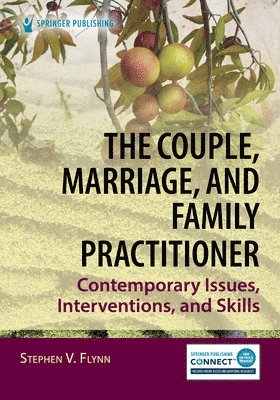 bokomslag The Couple, Marriage, and Family Practitioner