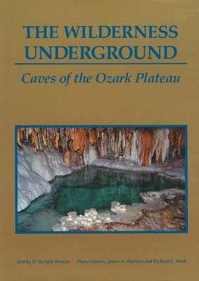 The Wilderness Underground 1