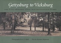 bokomslag Gettysburg to Vicksburg