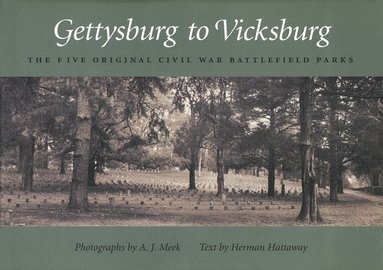 bokomslag Gettysburg to Vicksburg