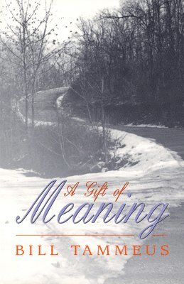 Bill Tammeus - Gift of Meaning, Häftad
