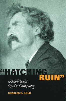 bokomslag Hatching Ruin