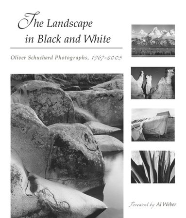 bokomslag Landscape in Black and White