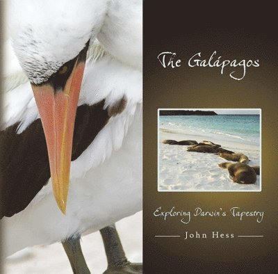 John Hess - Galapagos, Inbunden