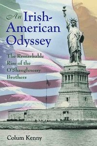 bokomslag An Irish-American Odyssey
