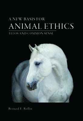 A New Basis for Animal Ethics 1
