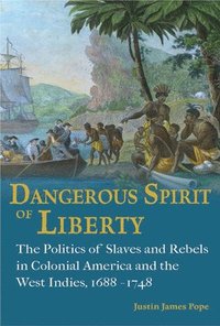 bokomslag Dangerous Spirit of Liberty