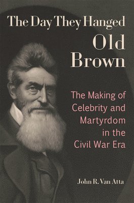 bokomslag The Day They Hanged Old Brown: The Making of Celebrity and Martyrdom in the Civil War Era