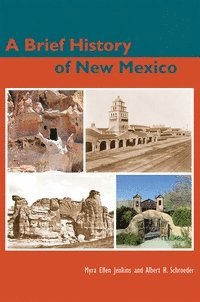 bokomslag Brief History of New Mexico