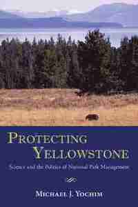 bokomslag Protecting Yellowstone