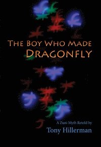 bokomslag The Boy Who Made Dragonfly