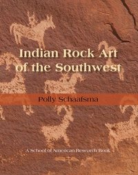 bokomslag Indian Rock Art of the Southwest