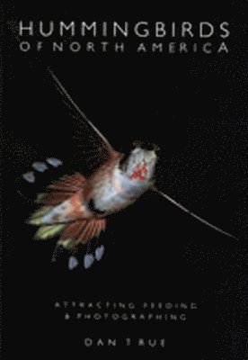 Dan True - Hummingbirds of North America, Inbunden