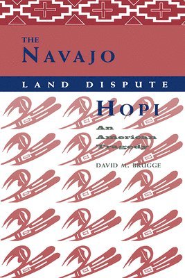 bokomslag The Navajo-Hopi Land Dispute